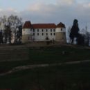 Ob savi jih je veliko