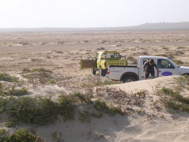 SAL(CAPO VERDE) - foto