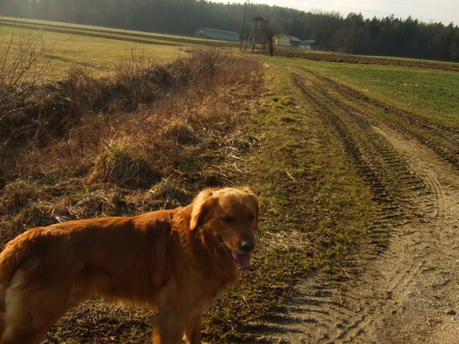 Oli sprehod 10.2.08 - foto povečava