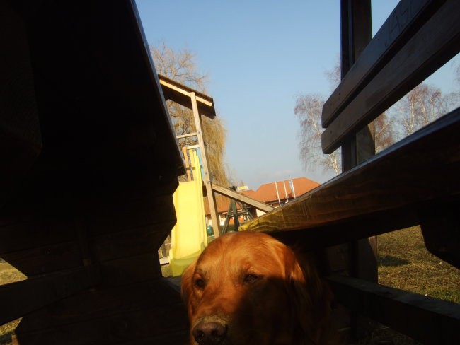 Oli sprehod 10.2.08 - foto povečava