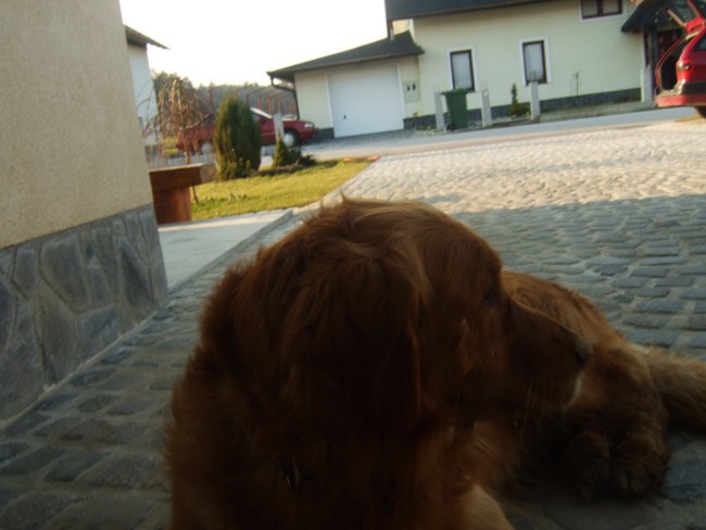 Oli sprehod 10.2.08 - foto povečava