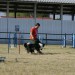 Agility 26.4.2008 - Gornja Radgona