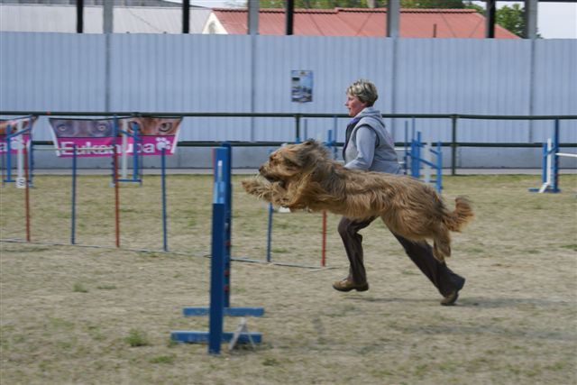 Agility 26.4.2008 - Gornja Radgona - foto