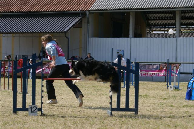 Agility 26.4.2008 - Gornja Radgona - foto