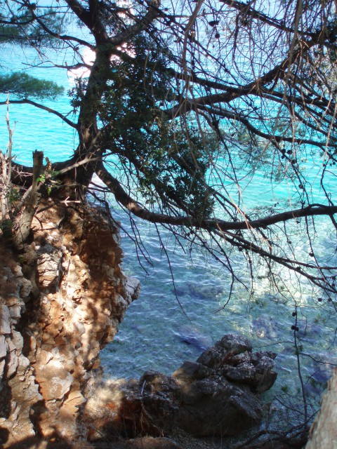 Lošinj 09 - foto