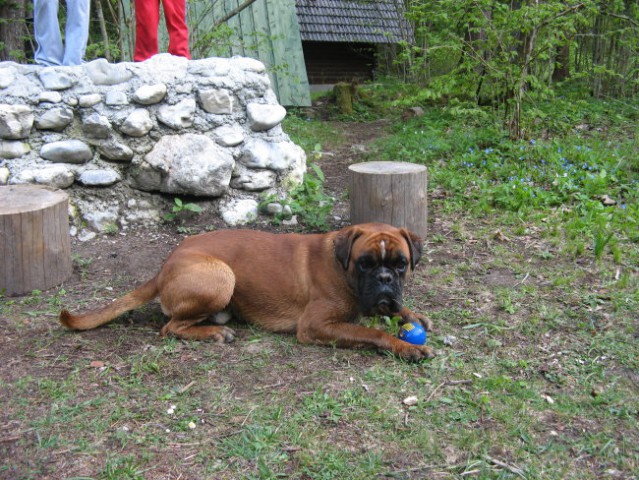 Iški Vintgar - foto
