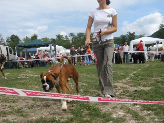 CAC Trbovlje 2008 - foto