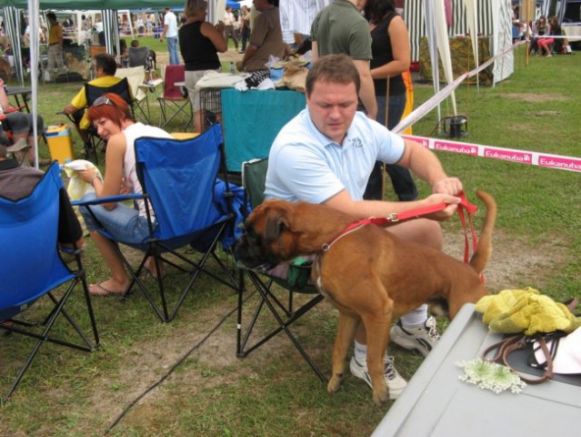 CAC Trbovlje 2008 - foto