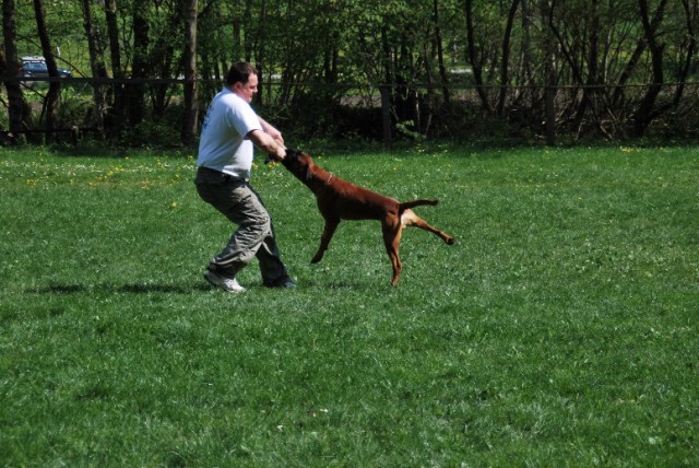 Hunter trening - foto