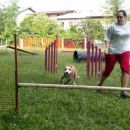 Agility