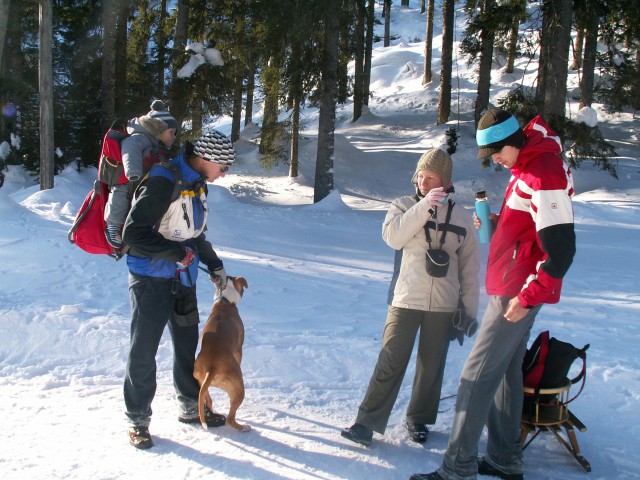 Pokljuka - foto