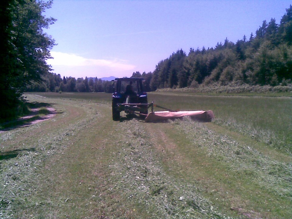 2 košnja - foto povečava