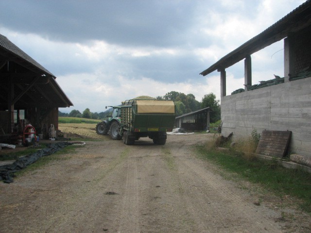 Silaža 09 - foto