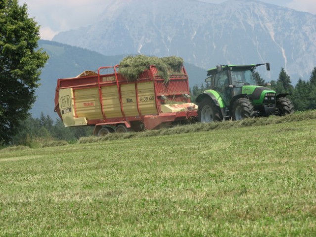 Košna - foto