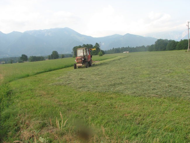 Košna - foto povečava