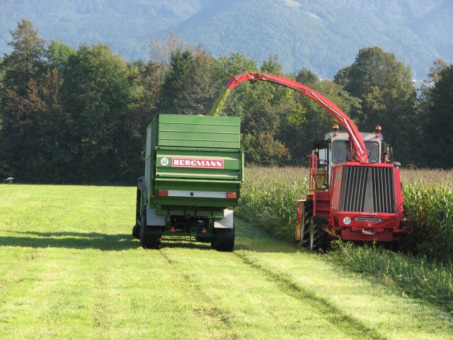 Silaža 2006 - foto