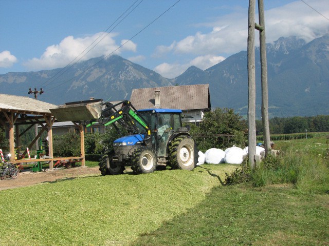 Silaža 2006 - foto povečava