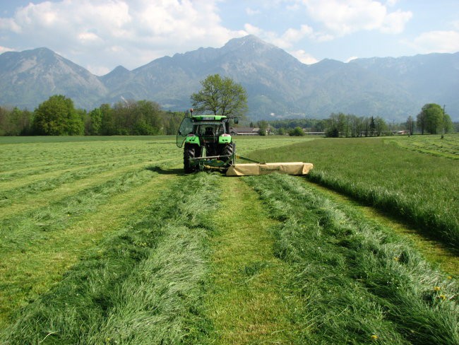 Košnja 07/1košnja - foto povečava