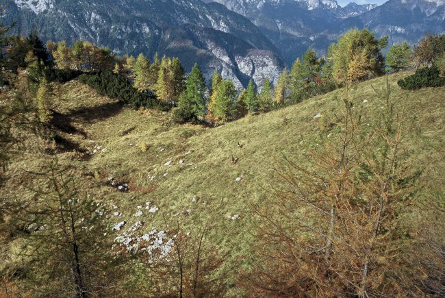 Čisti vrh/Živa 10.2005 - foto povečava