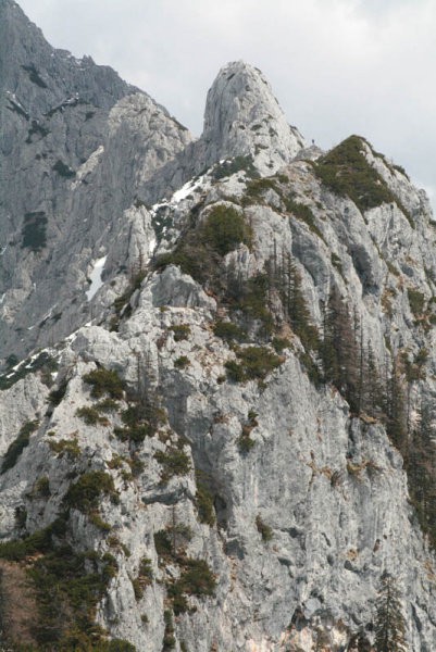 Kamniški Dedec - foto povečava