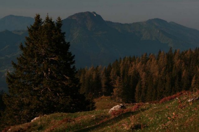 Rogatec i Kranjska reber