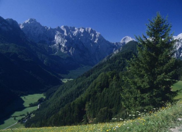 Logarska dolina