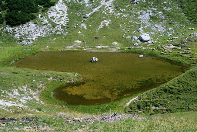 Vodotočnik