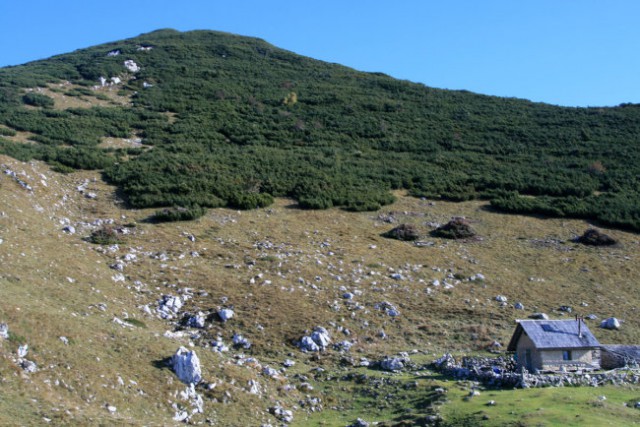 Planina Košutna