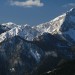 Plešivec, Tolsta Košuta