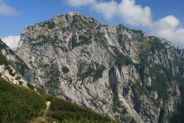 Krofička