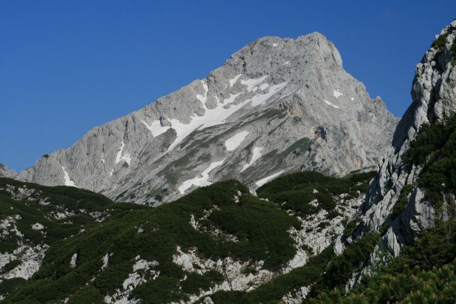 Ojstrica