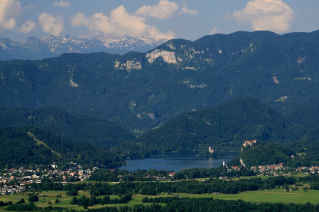 Bled