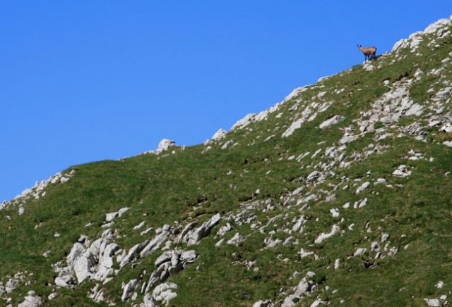 Kokrska (2520) i Jezerska Kočna (2540)  - foto