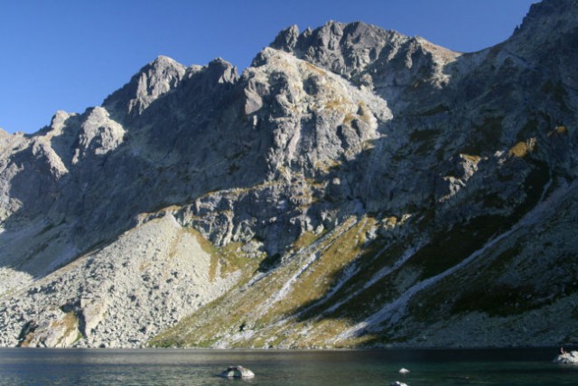 Miegusze