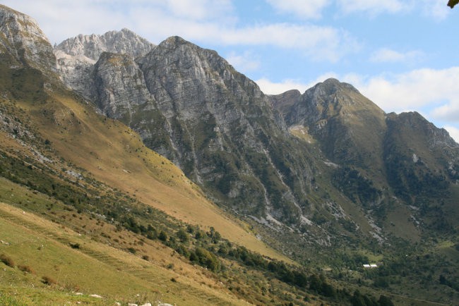 Škofič, Maselnik