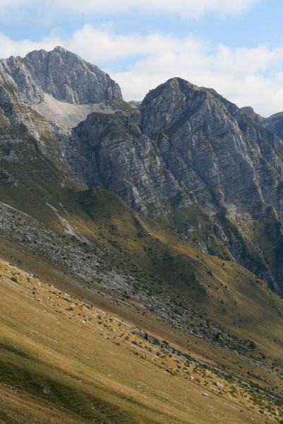 Škofič, Maselnik