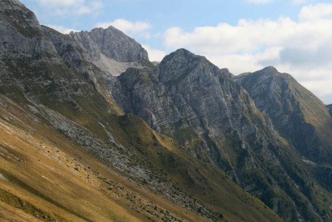 Škofič, Maselnik