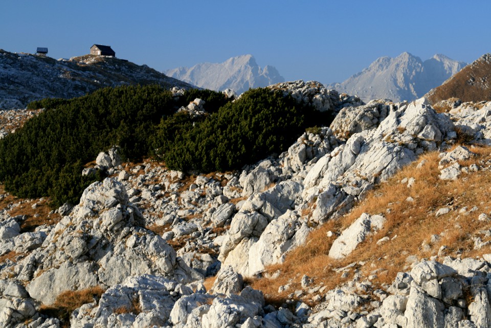 Zasavska Koča na Prehodavcih, Prisank i Planja