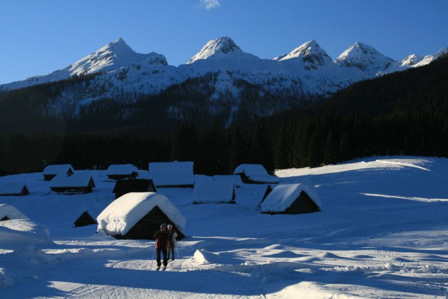 Planina Javornik