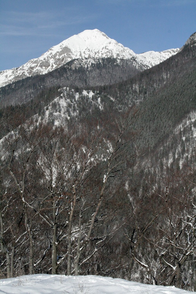 Storžič