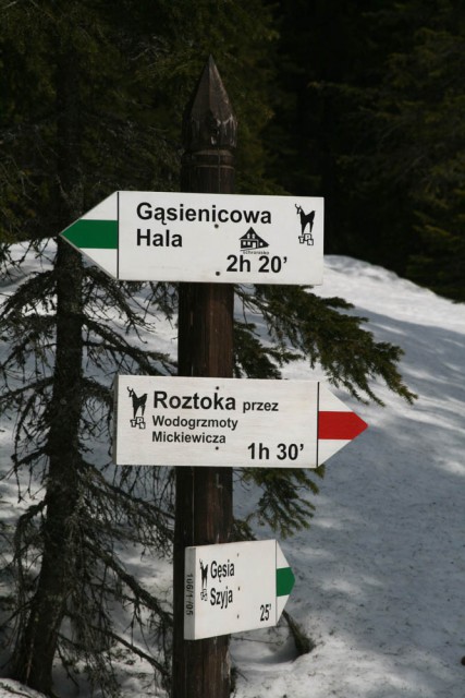 Wielkanoc 2009 w Saczu - foto