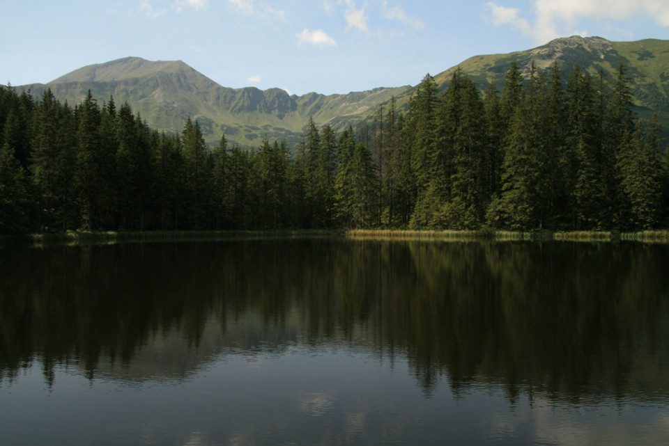 Tatry Zachodnie - Ornak 1867 - foto povečava