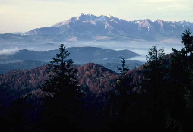 Tatry z Prehyby