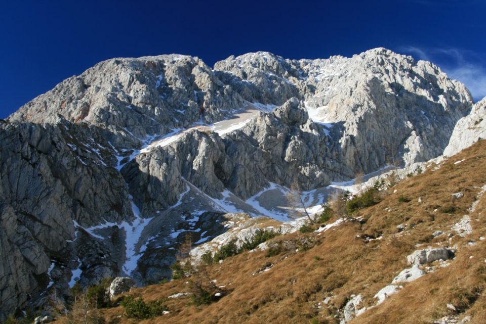 Kokrska Kočna