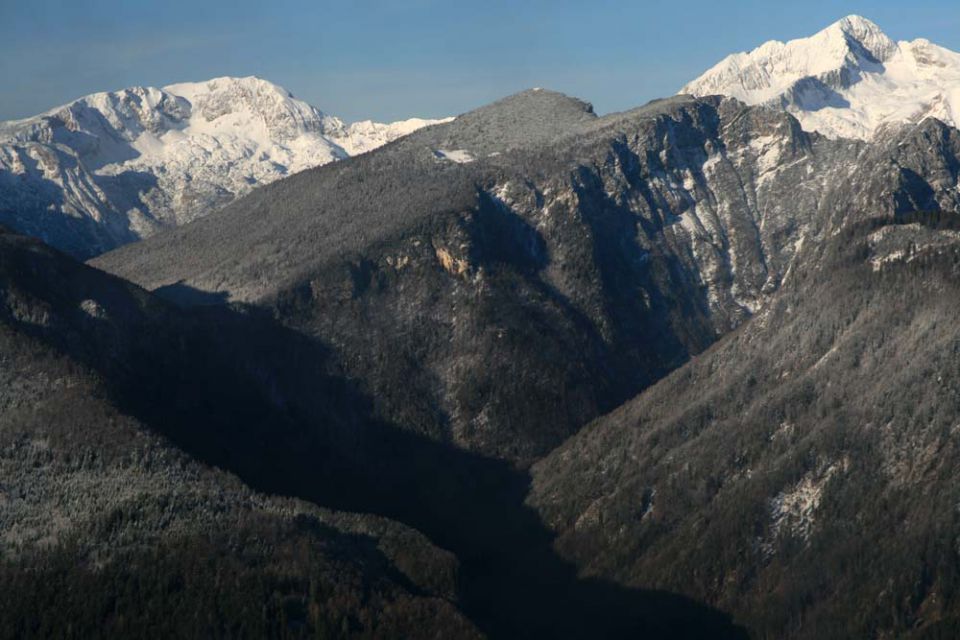 Rzenik