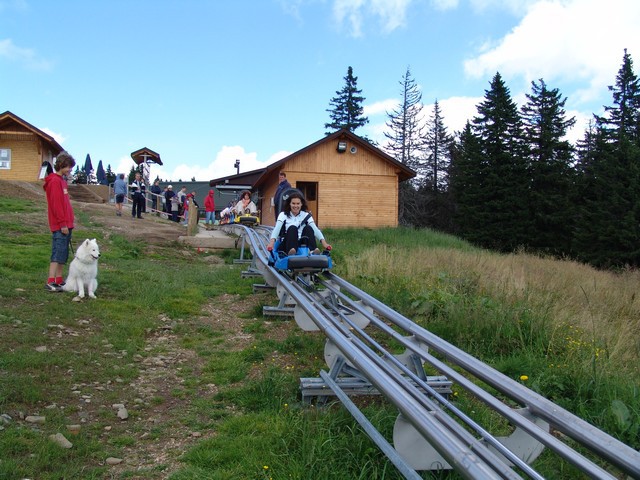 Kids in action - foto