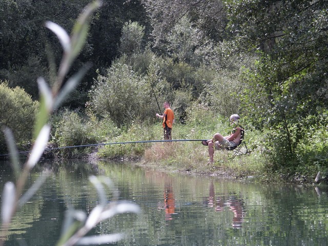 Fishing - foto