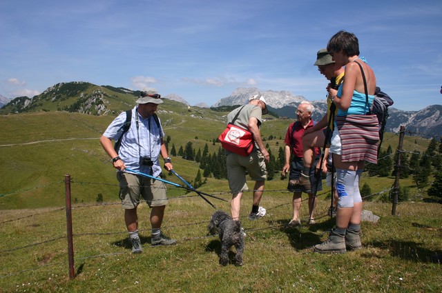 Hiking - foto