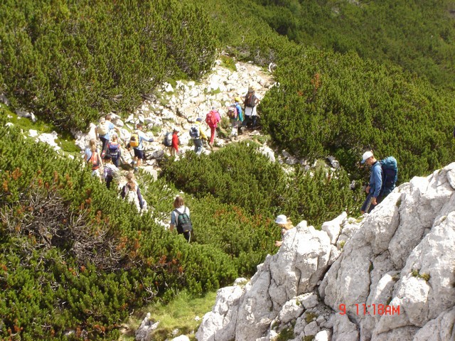 Hiking - foto