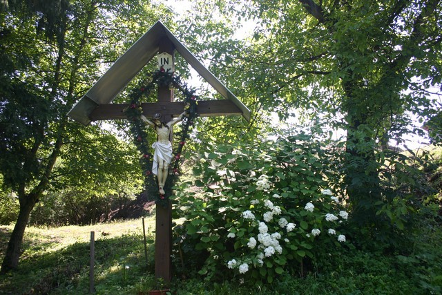 Walk around camp - foto